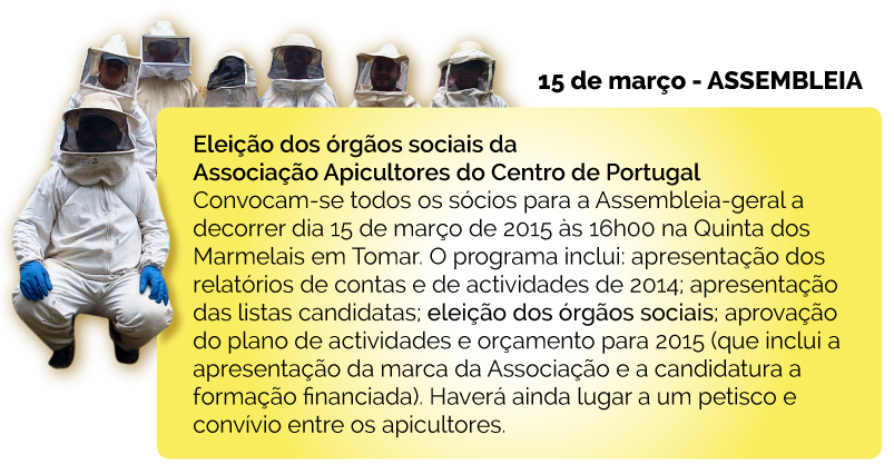 assembleia