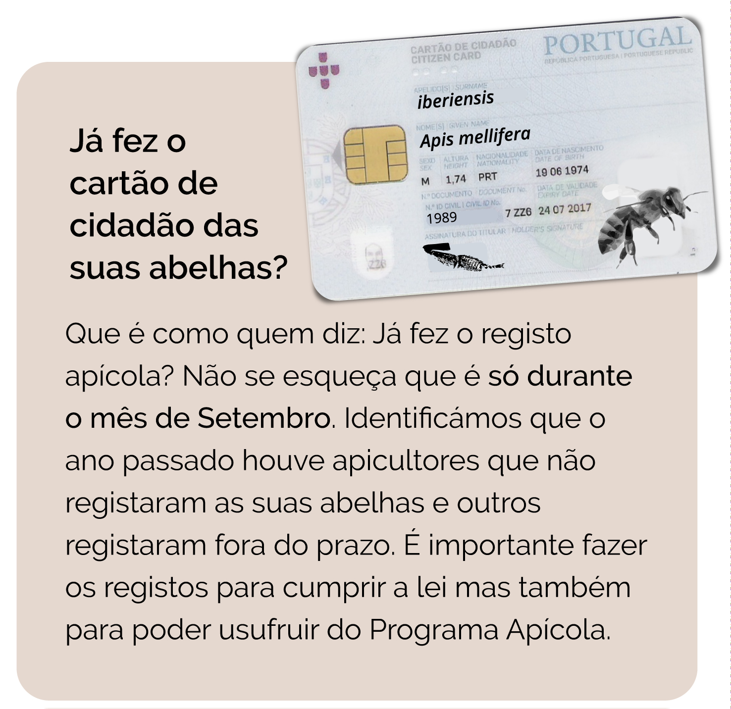 cartaoabelhas2018