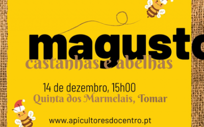 Magusto Natalício 2024