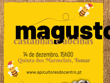 Magusto Natalício 2024