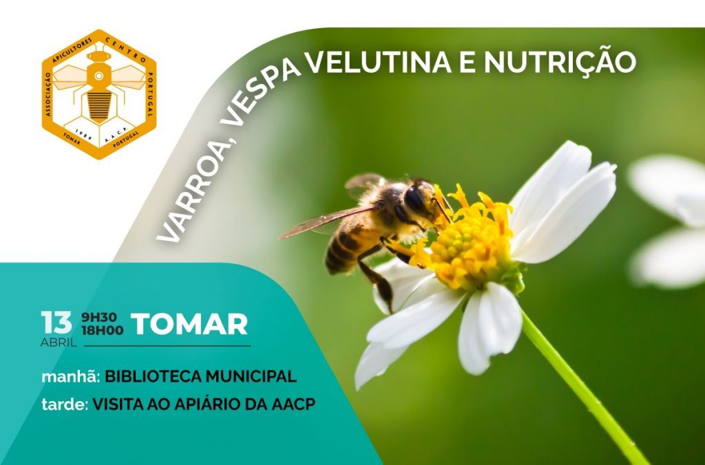 Varroa, Vespa velutina e Nutrição apícola – Acção de divulgação