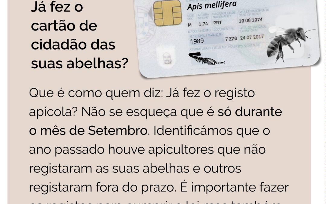 Declaração de existências – só em Setembro